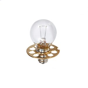 Estate Lamp — 6 V, 4.5 A